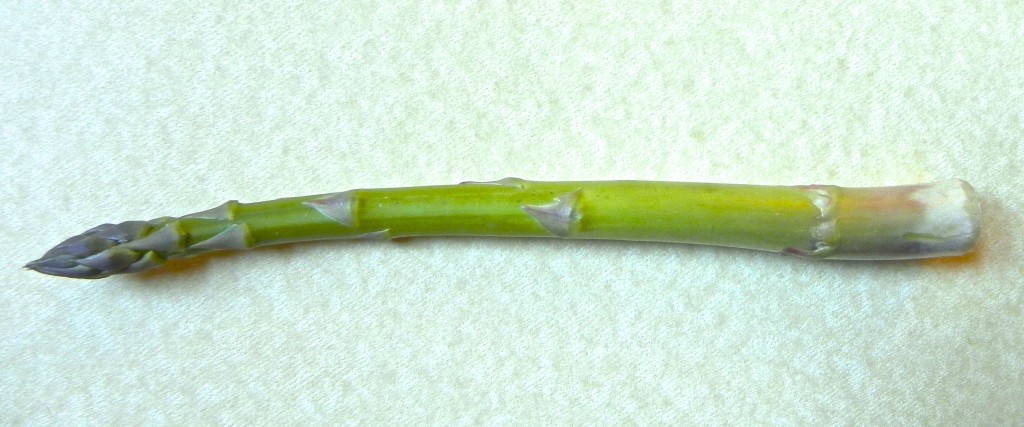 DSCN1417