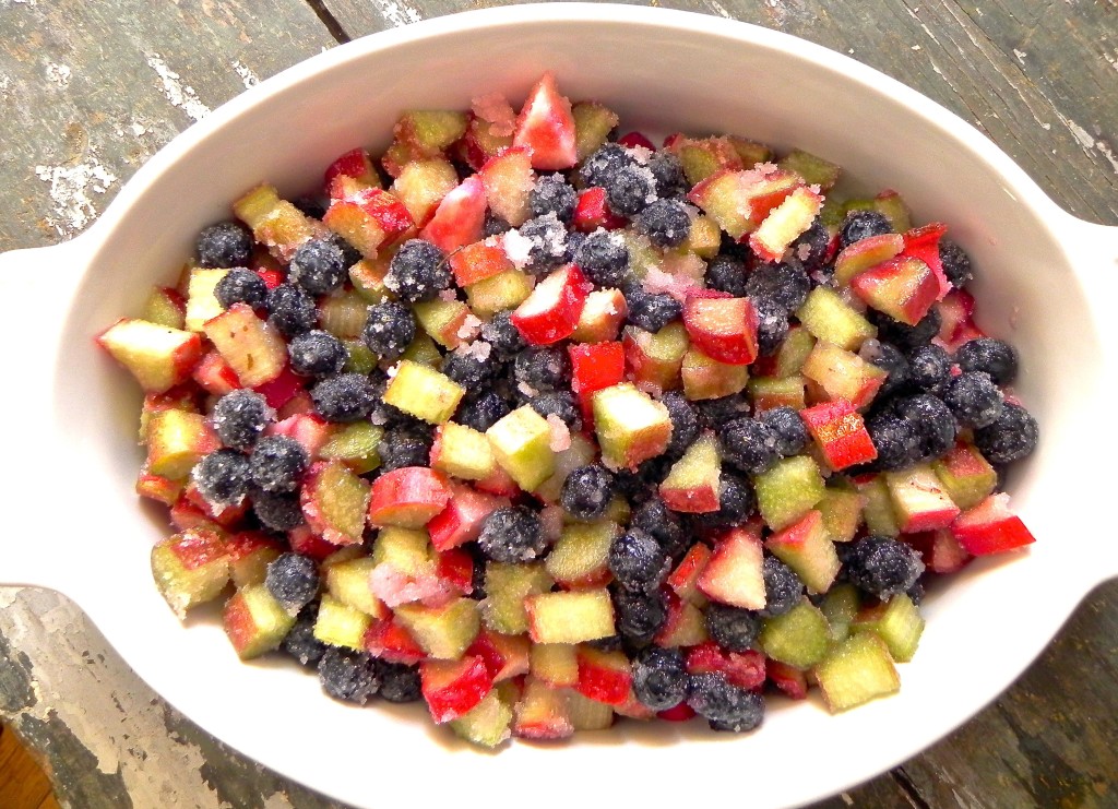 blueberries and rhubarb for crisp