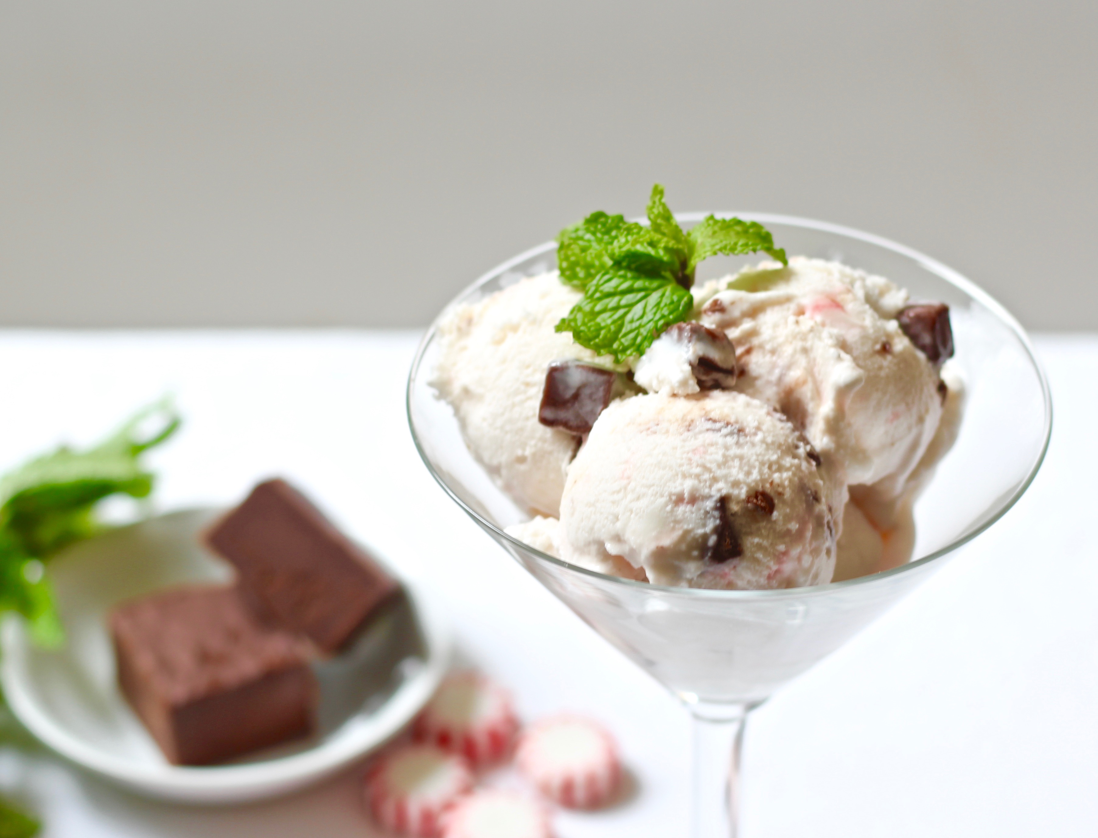 peppermint fudge ice cream