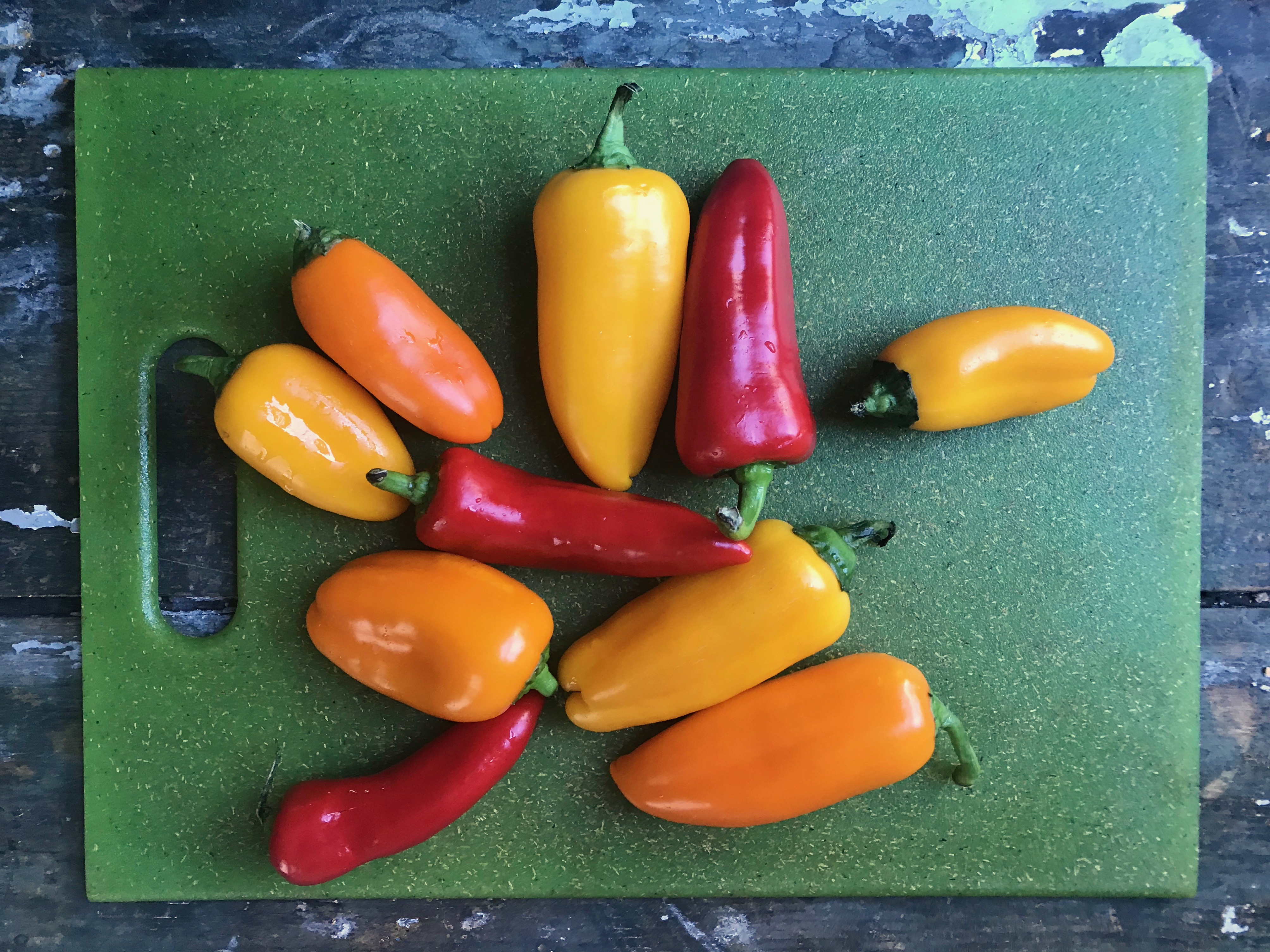 southwest paneer with peppers and onion 