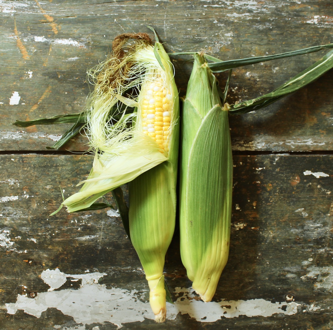 ears of corn for smoky tomato corn soup 